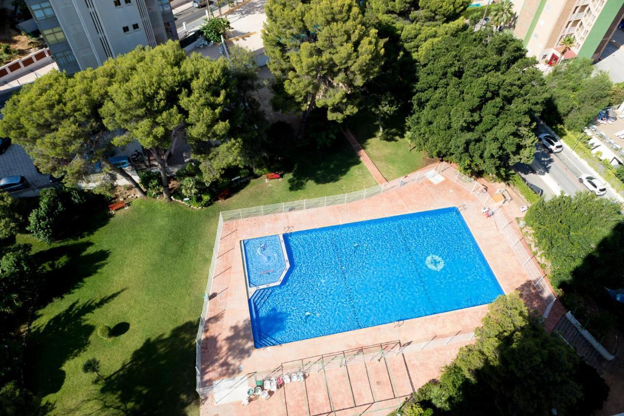 Moonkey - Apto Paris Con Piscina Y Parking Leilighet Benidorm Eksteriør bilde